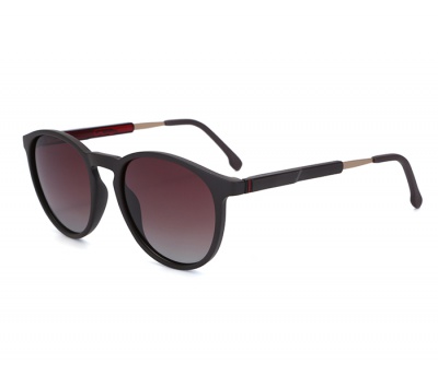 TRS21011 Sunglasses for men