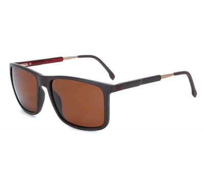 TRS21012 Sunglasses for men